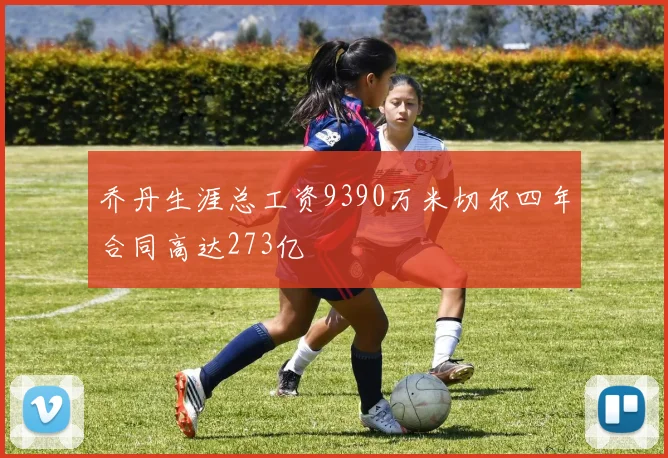 乔丹生涯总工资9390万米切尔四年合同高达273亿